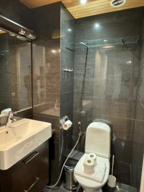 Apartments 2 minutes from Kamppi City Center, sauna and balcony